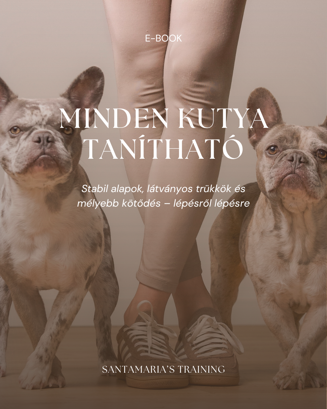 Minden Kutya Tanítható | E-book