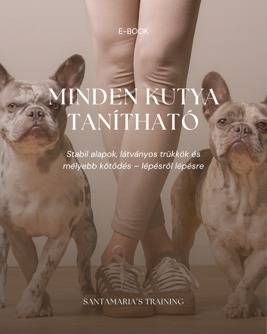 Minden Kutya Tanítható | E-book